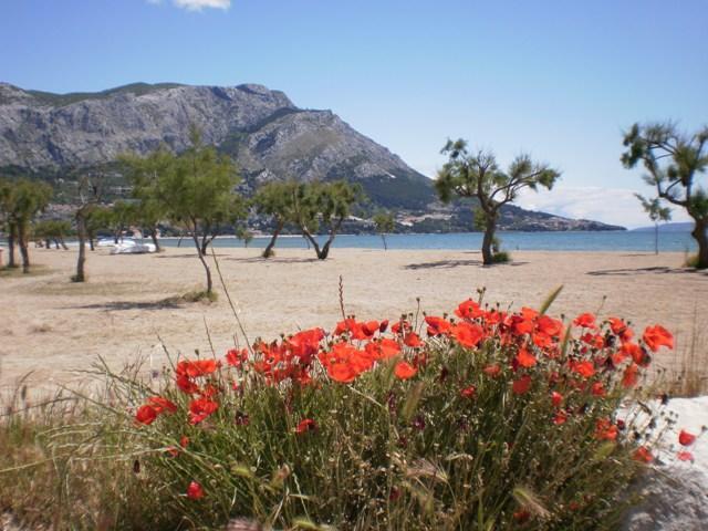 Apartment Danka Omiš Exterior foto